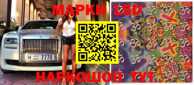 спиды Канаш