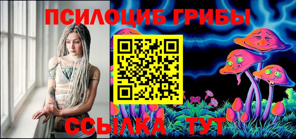 Лыткарино  Псилоцибиновые грибы прущие грибы  Вход с VPN  Галлюциногенные грибы Psilocybine cubensis 